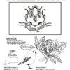 Connecticut State Coloring Book