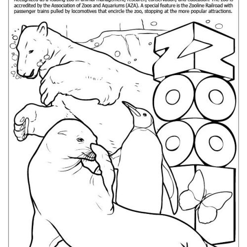 Coloring in Saint Louis Coloring Book
