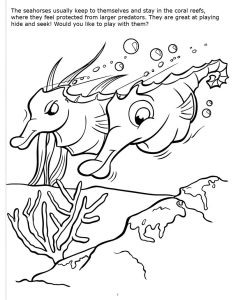 Sea Horses Coloring Page