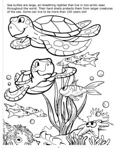 Turtles Sea Turtles Coloring Page