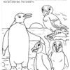 Penguins and Puffins Coloring Page