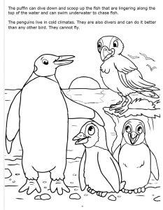 Penguins and Puffins Coloring Page