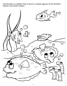Flounder Fish Coloring Page