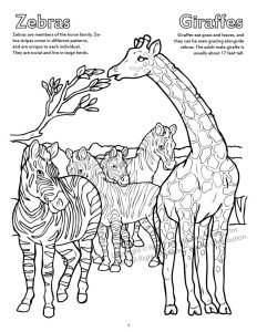 Zebra and Giraffe Coloring Page