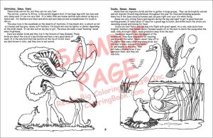 Ostriches, Emus, Kiwis Coloring Page and Duck, Geese, Swans Coloring Page