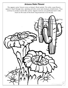 Saguaro Cactus - Arizona State Flower Coloring Page