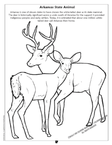 Arkansas State Animal Coloring Page