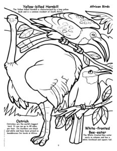 African Birds Coloring Page