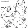 Big R Stores Coloring Page: Chicks have Hatched
