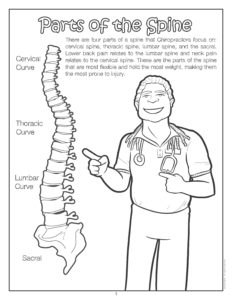 Parts of the Spine Coloring Page