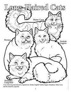 Long Haired Cats Coloring Page