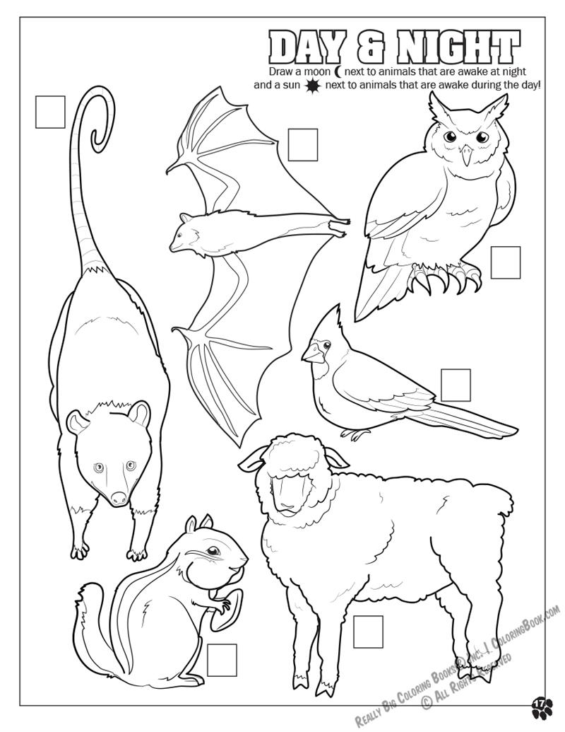 Animals at the Elmwood Park Zoo Coloring Page