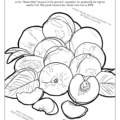 Georgia Peaches Coloring Page. Georgia State Fruit Coloring Page State of Georgia Coloring Book