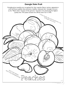 Georgia Peaches Coloring Page. Georgia State Fruit Coloring Page State of Georgia Coloring Book