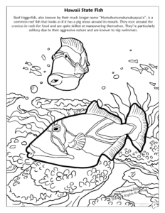 Hawaii State Coloring Book. Hawaii State Fish: Reef Triggerfish Humuhumunukunukuapua"a