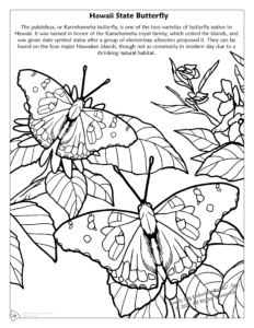 Hawaii State Coloring Book. Hawaii State Butterfly: Pulelehua or Kamehameha Butterfly