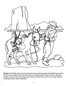 Donkey Coloring Page