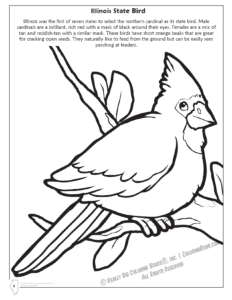 Illinois State Bird Coloring Page