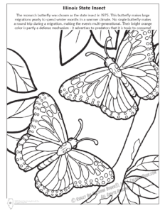 Illinois State Bug Coloring Page