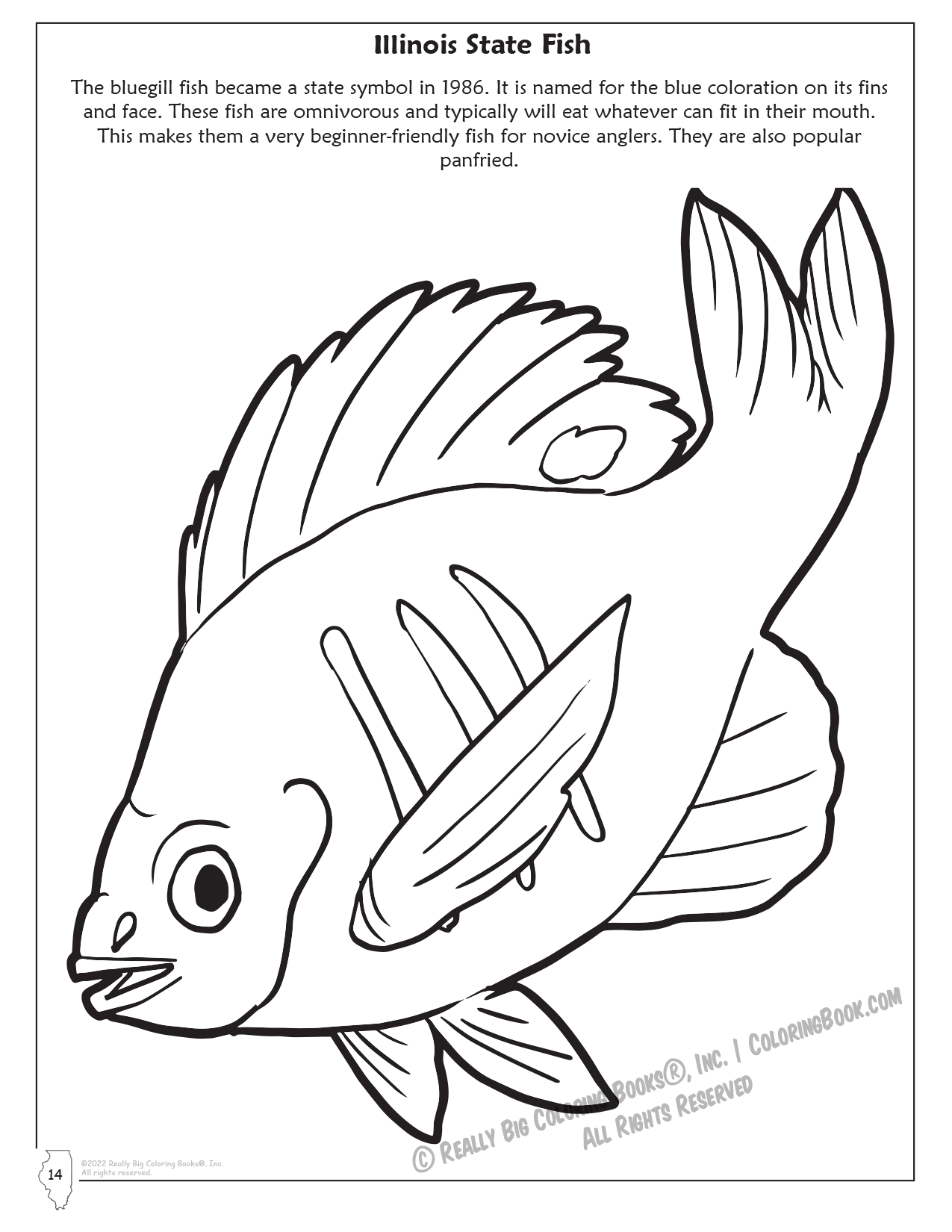 Illinois State Fish Coloring Page
