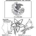 IllinoisStateColoringBook