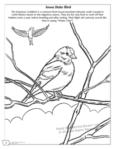 Iowa State Coloring Book