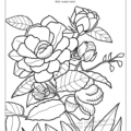 Iowa State Coloring Book