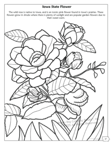 Iowa State Coloring Book