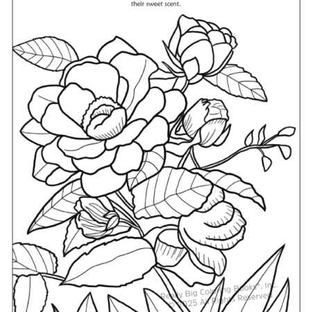 Iowa State Coloring Book Iowa State Coloring Book 8.5 x 11