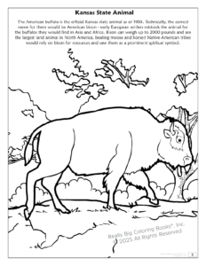 Kansas State Coloring Book