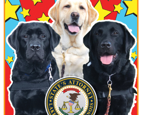 Lake County States Attorney Office Coloring and Activity Book