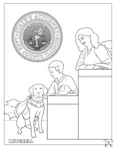Lake County States Attorney Office Coloring Page: What happens in Court