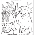 Maryland State Dog Coloring Page