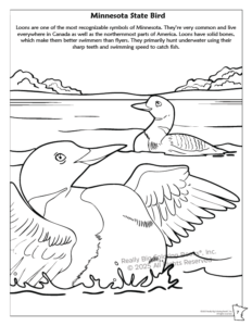 Minnesota State Coloring Book.