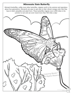Minnesota State Coloring Book.