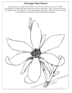 Mississippi State Flower Coloring Page