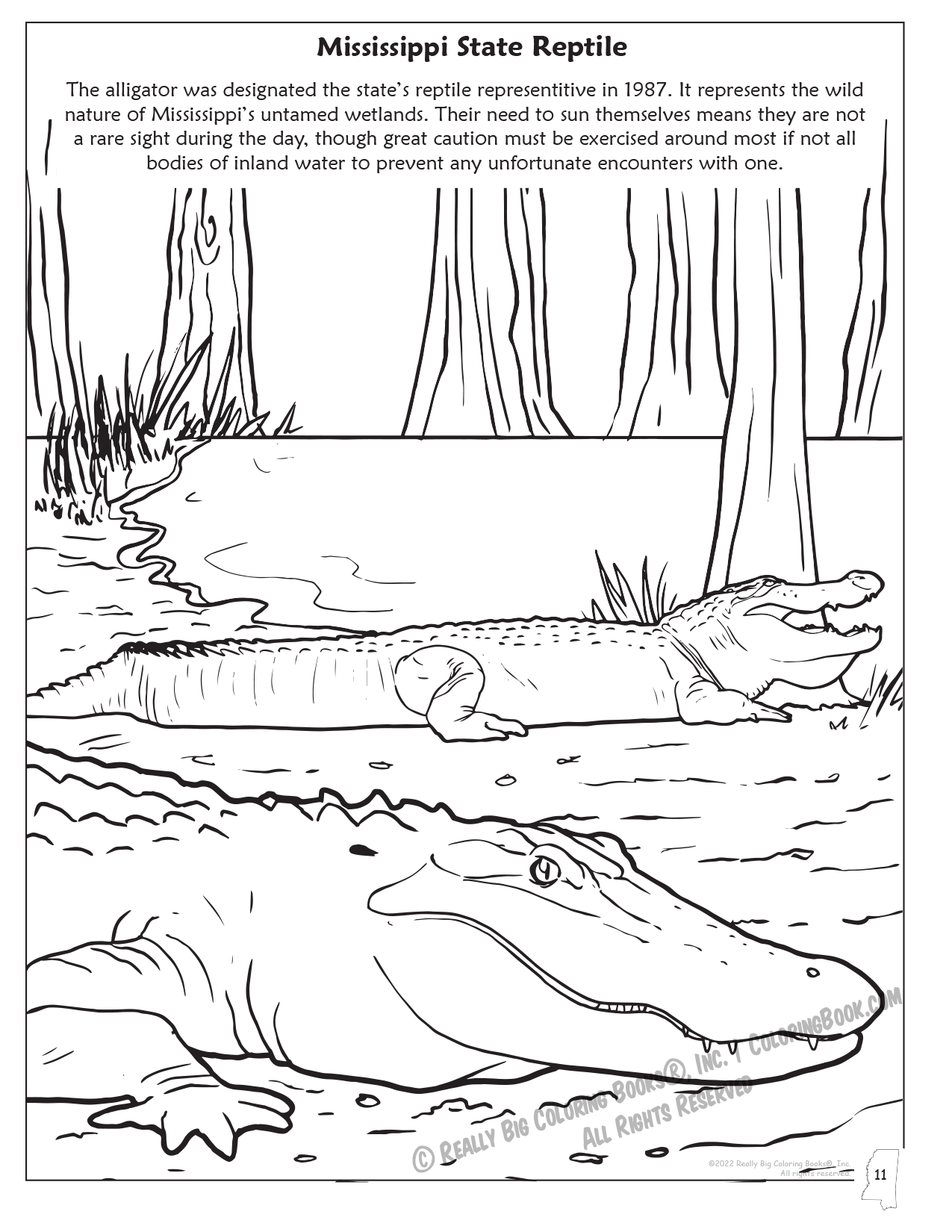 Mississippi State Reptile Coloring Page
