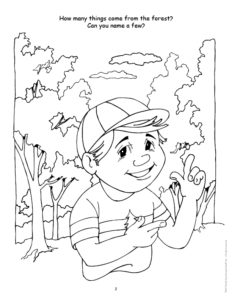 Nature and Ecology Forrest Coloring Page