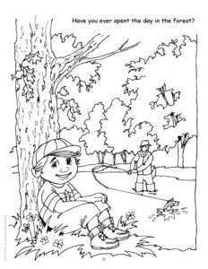 Nature and Ecology A Day in the Forrest Coloring Page