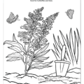Nebraska State Coloring Book