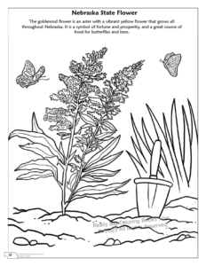Nebraska State Coloring Book