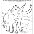 Nebraska State Coloring Book