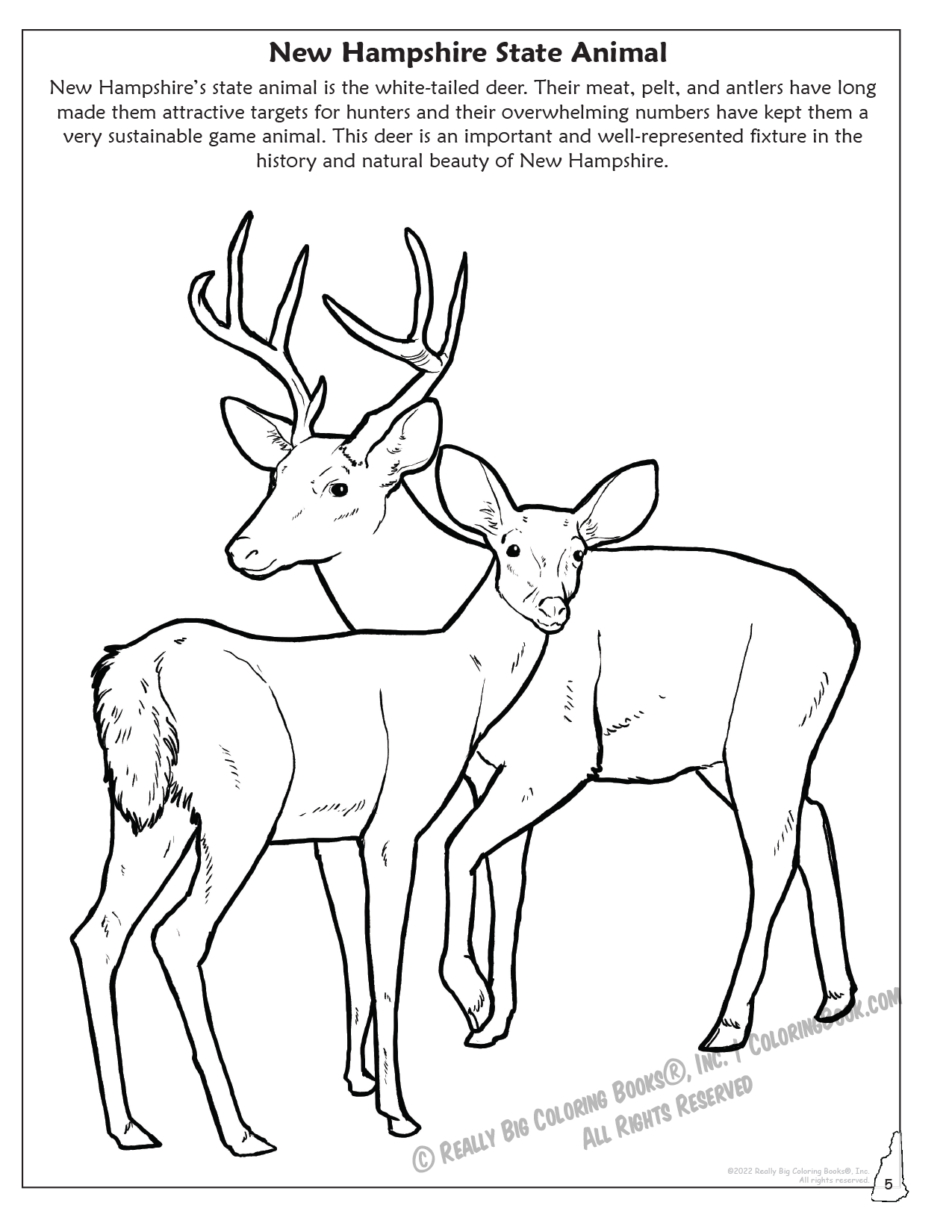 New Hampshire State Animal Coloring Page