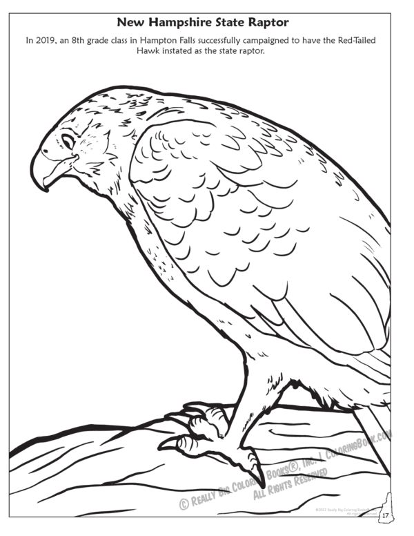 New Hampshire State Coloring Book 8.5 x 11