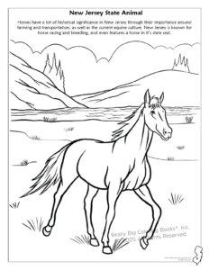 New Jersey State Coloring,