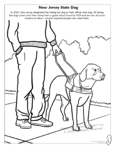 New Jersey State Coloring,