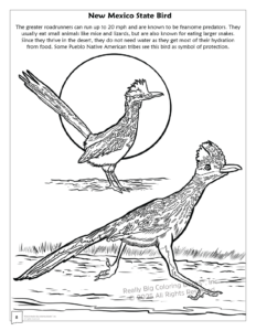 New Mexico State Coloring Book