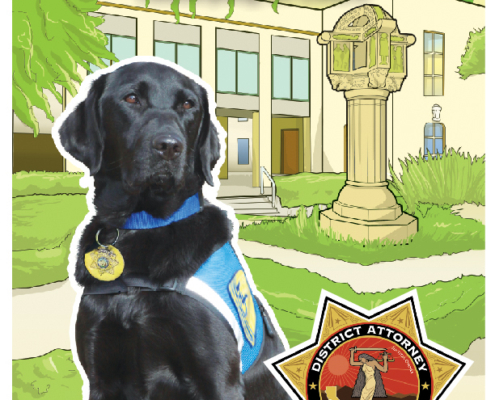 Monterey County (CA) District Attorney's Office Coloring and Activity Book. What Happens in Court Odie's Activity Guide for Children Testifying in Court.