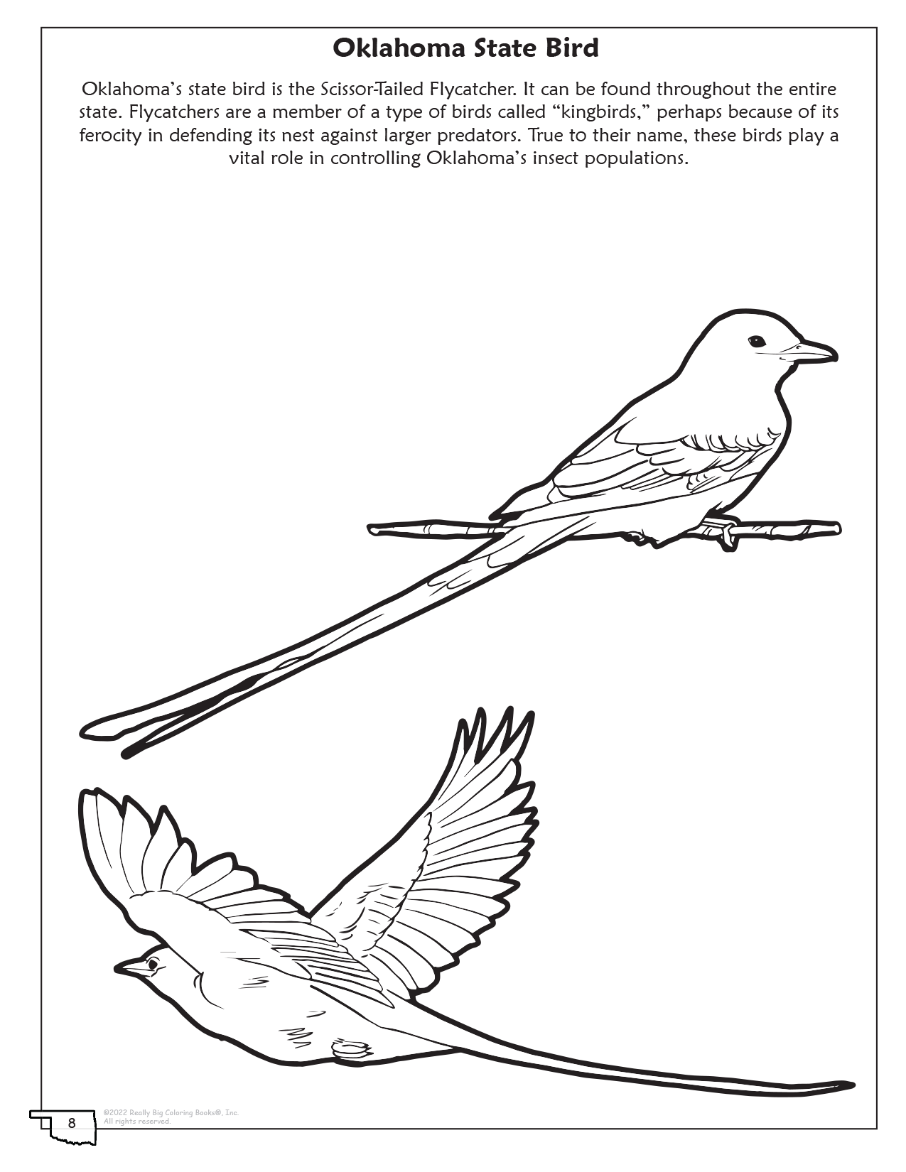 Oklahoma State Bird Coloring Page