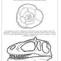 Oklahoma State Rock and Fossil Coloring Page